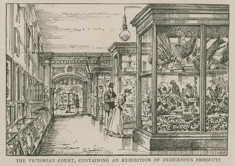 The Imperial Institute: A viktoriánus udvar, ahol őshonos termékek kiállítása található alkotó: English School
