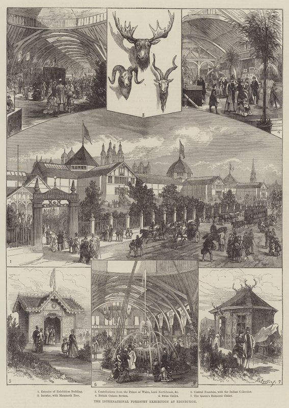 Nemzetközi Erdészeti Kiállítás Edinburgh-ban (metszet) alkotó: English School