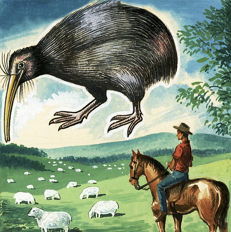 A Kiwi, Új-Zéland jelképe alkotó: English School