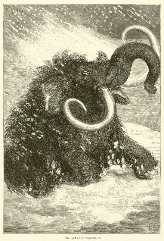 Az utolsó mamut (metszet) alkotó: English School