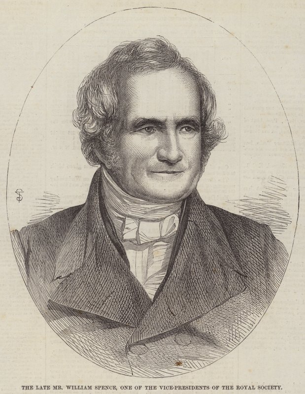 A néhai William Spence, a Royal Society egyik alelnöke (metszet) alkotó: English School