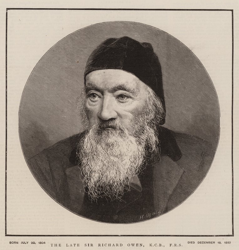 A néhai Sir Richard Owen, KCB, FRS (metszet) alkotó: English School