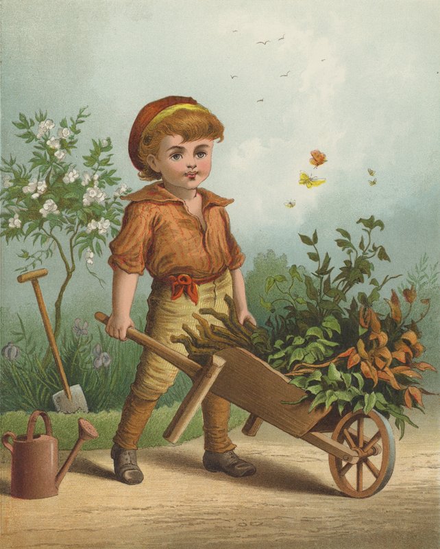 A kis kertész (chromolitho) alkotó: English School