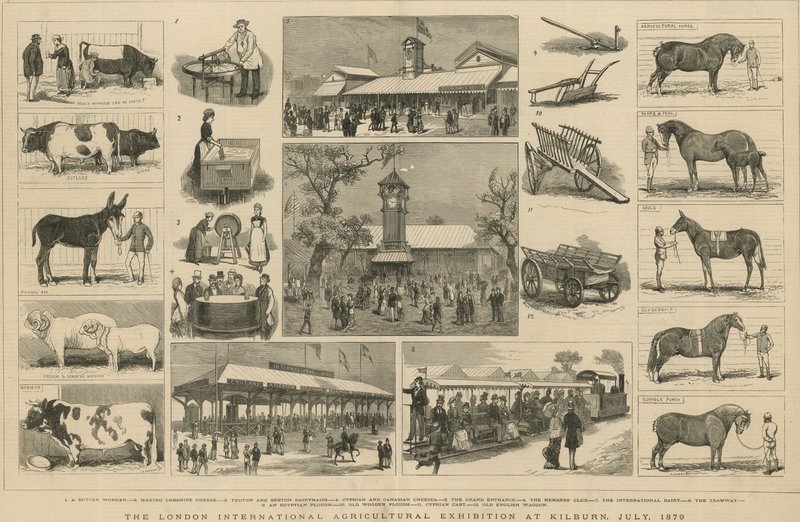 Londoni Nemzetközi Mezőgazdasági Kiállítás Kilburnben, 1879. július alkotó: English School