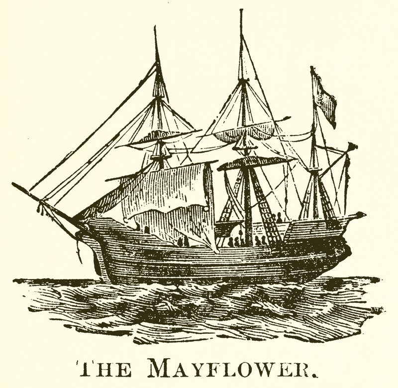 A Mayflower alkotó: English School