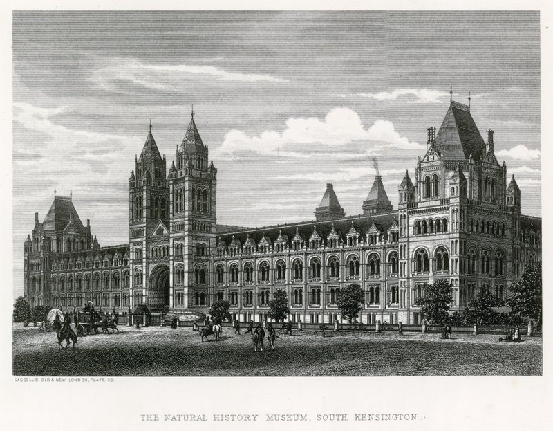 Természettudományi Múzeum, 1881 alkotó: English School
