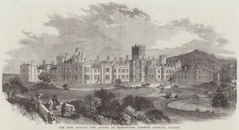 The New Asylum for Idiots, Earlswood Common, Redhill, Surrey (metszet) alkotó: English School
