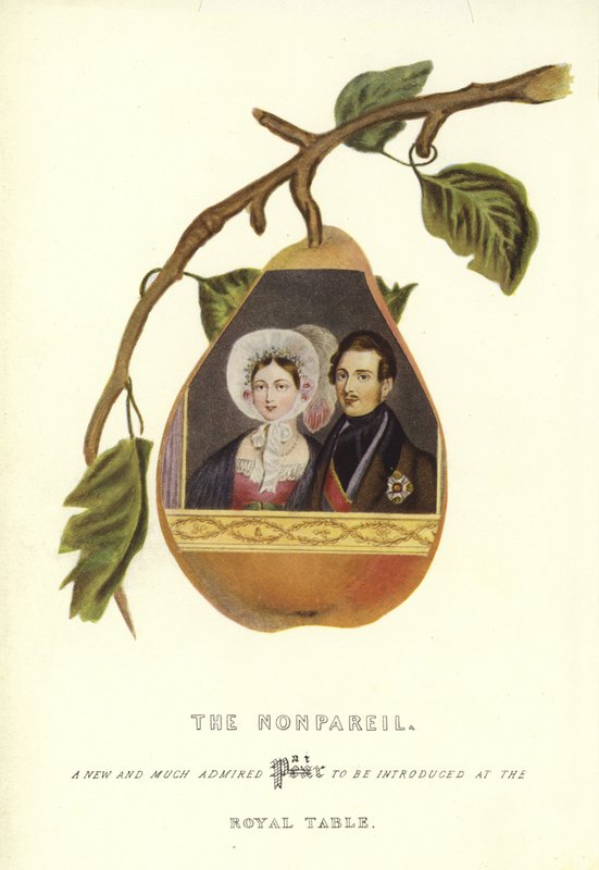A Nonpareil Viktória királynő és Albert herceg portréival alkotó: English School