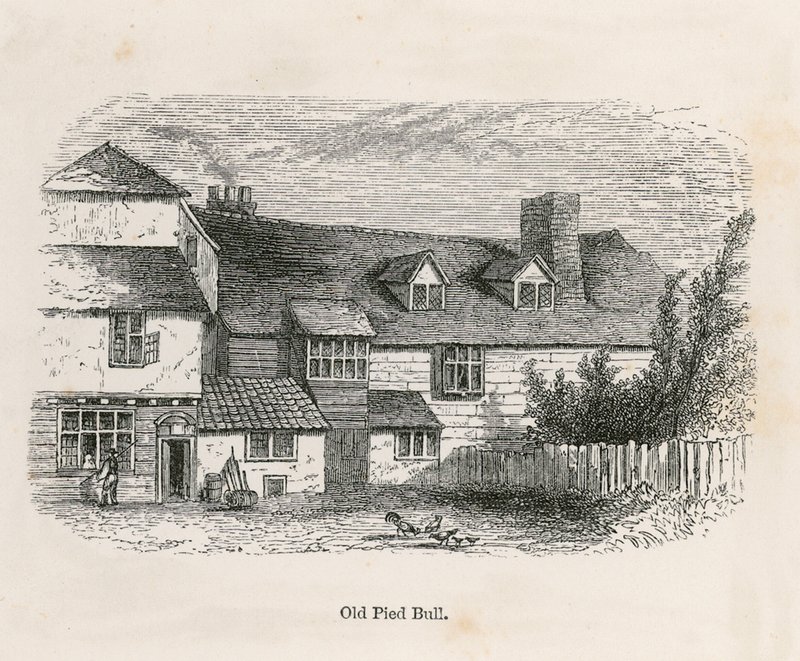 The Old Pied Bull (hátul) alkotó: English School