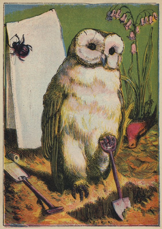A bagoly, a bogár és a kakasrobin (színes litográfia) alkotó: English School