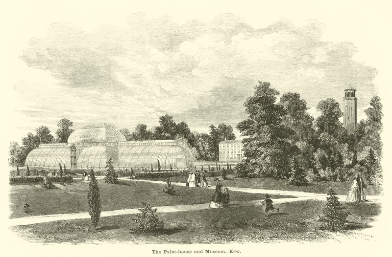 A pálmaház és múzeum, Kew alkotó: English School