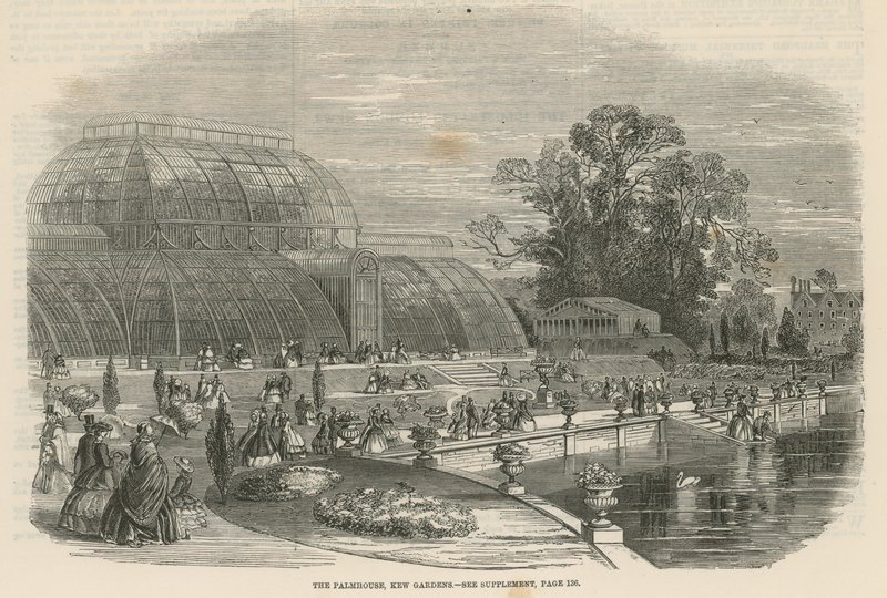 The Palm House, Kew Gardens, London alkotó: English School