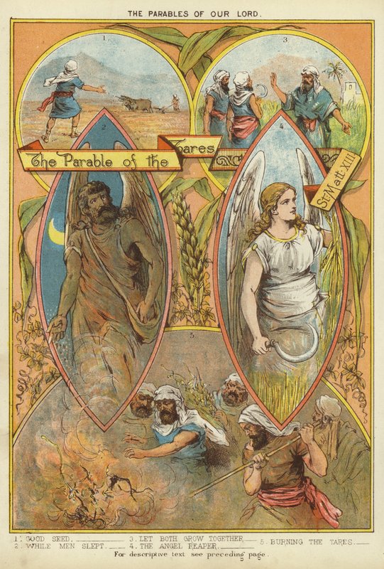 Krisztus példázatai: A gyomok példázata (chromolitho) alkotó: English School