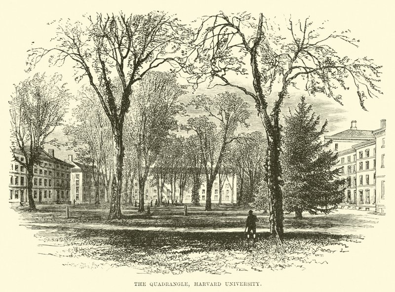 A négyszög, Harvard Egyetem alkotó: English School