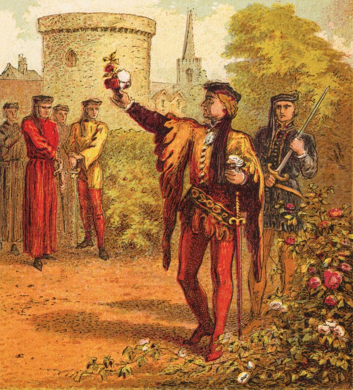 A vörös és fehér rózsák alkotó: English School