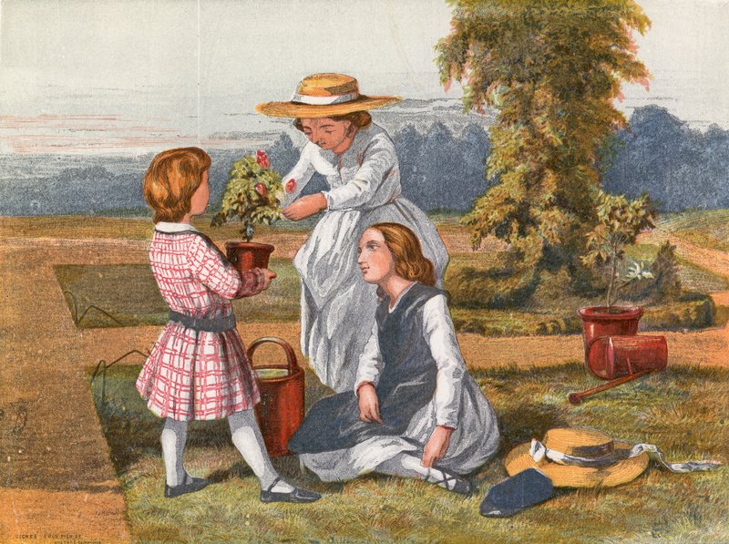 A rózsa alkotó: English School