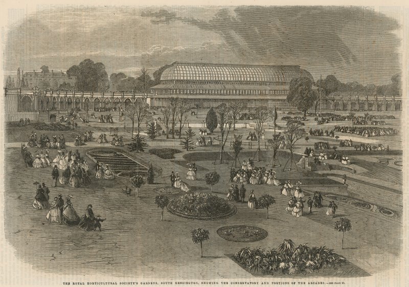 A Royal Horticultural Society Gardens, South Kensington alkotó: English School