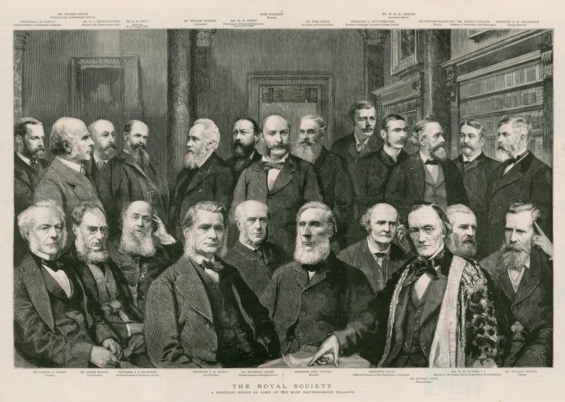 A Királyi Társaság alkotó: English School