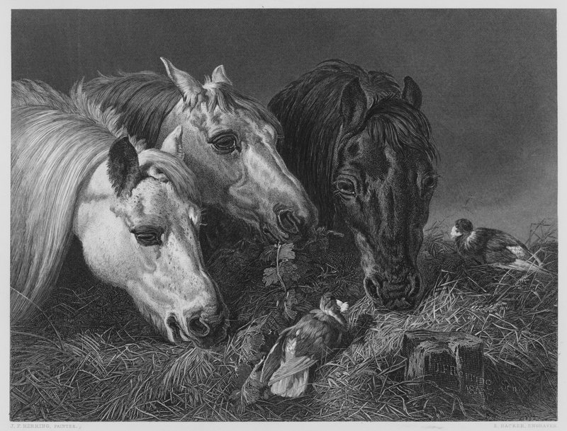 The Scanty Meal, a Vernon Gallery képéről alkotó: English School