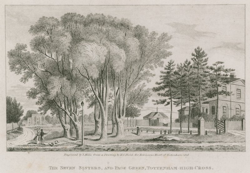 The Seven Sisters és Page Green, Tottenham High-Cross, London alkotó: English School