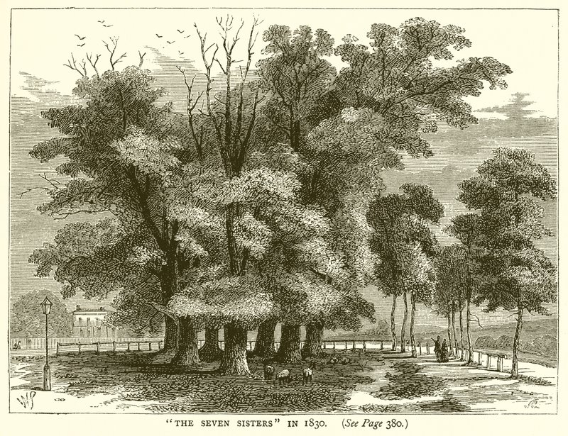 A hét nővér 1830-ban alkotó: English School