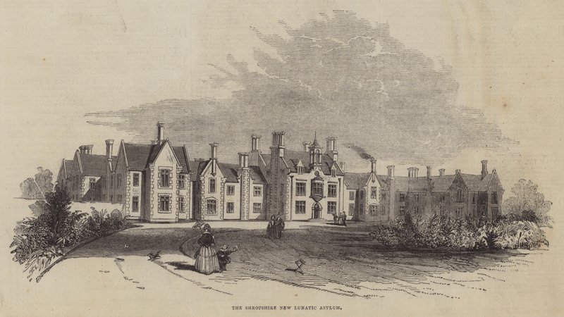 A Shropshire-i New Lunatic Asylum alkotó: English School