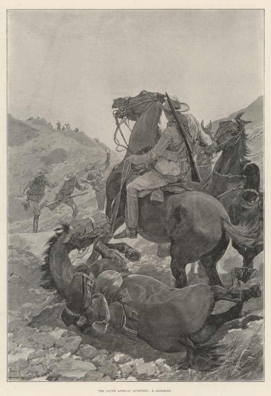 A dél-afrikai kérdés, egy csetepaté (litho) alkotó: English School