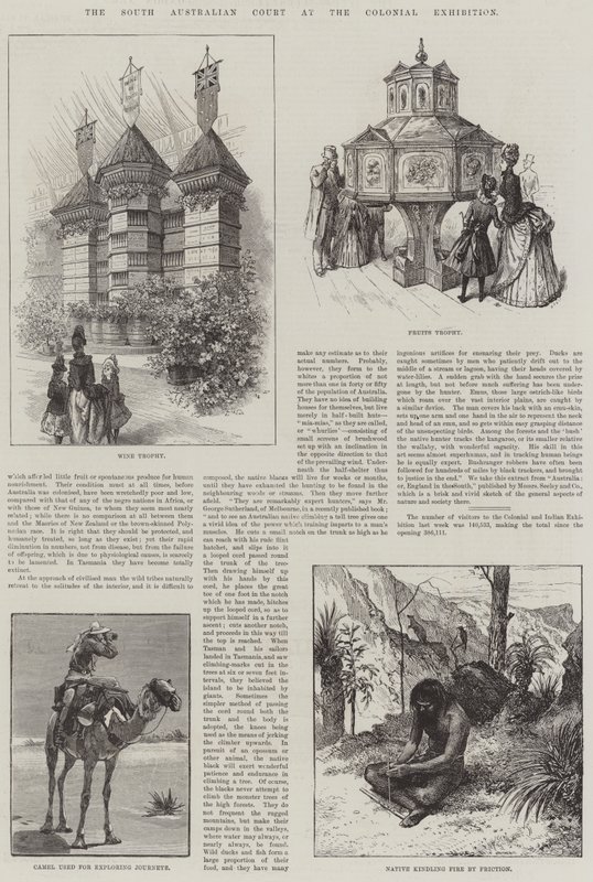A dél-ausztrál udvar a gyarmati kiállításon (metszet) alkotó: English School
