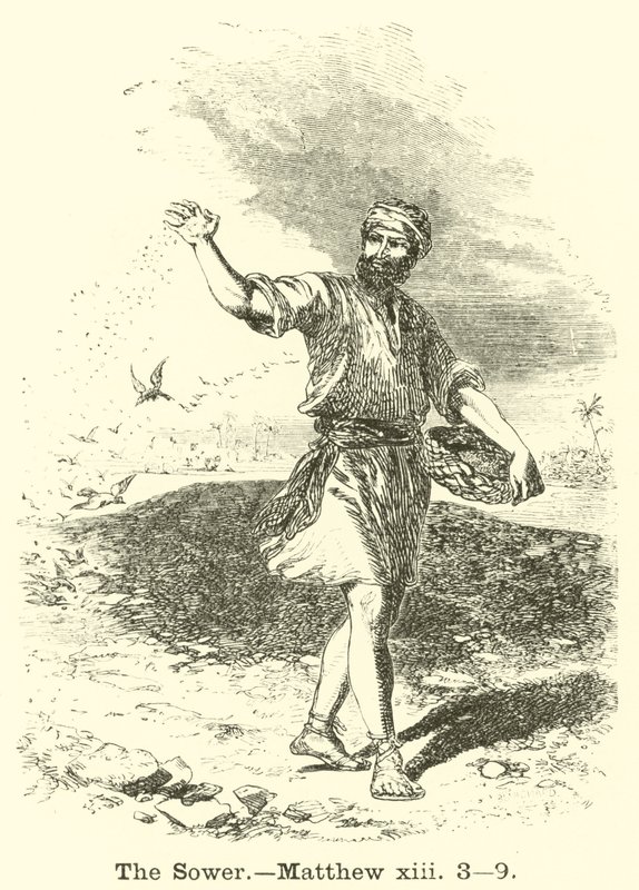 A Magvető, Máté, xiii, 3, 9 alkotó: English School
