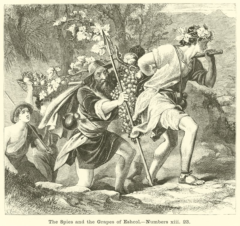 The Spies and the Grapes of Eshcol, Numbers, xiii, 23 alkotó: English School