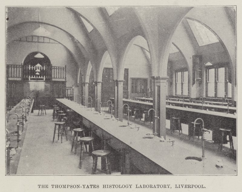 Thompson-Yates Szövettani Laboratórium, Liverpool (metszet) alkotó: English School