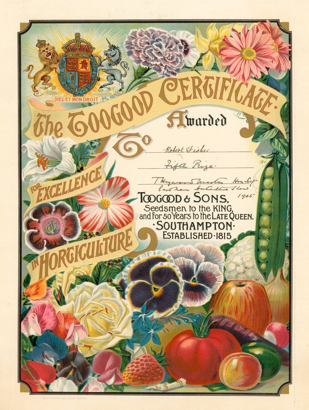 A Toogood Kertészeti Kiválósági Tanúsítvány alkotó: English School