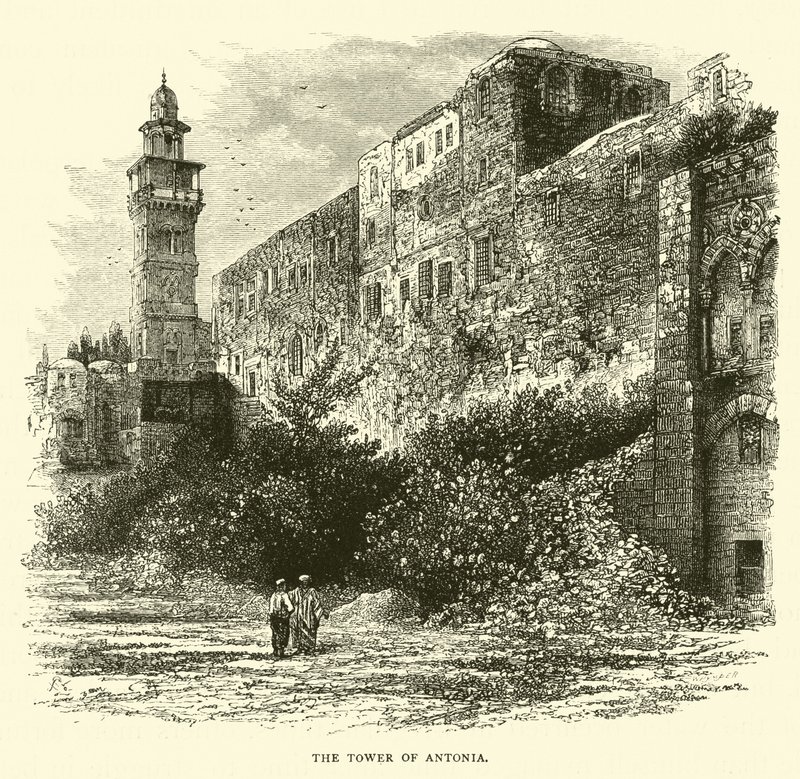 Antónia tornya alkotó: English School