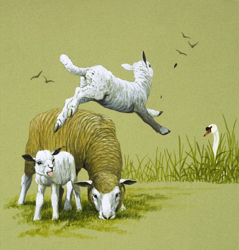 A rút kiskacsa (gouache, papír) alkotó: English School