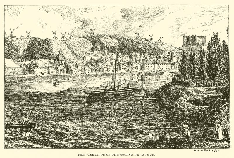 A Coteau de Saumur szőlőskertjei (metszet) alkotó: English School