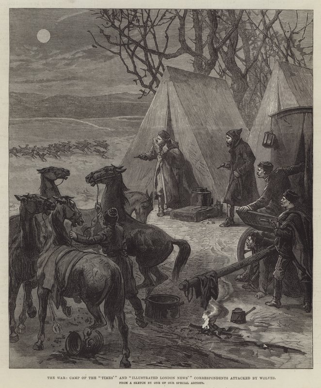 A háború, a "Times" tábora és az "Illustrated London News" tudósítói, akiket a Farkasok megtámadtak (metszet) alkotó: English School