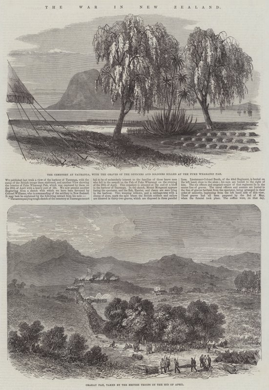Az új-zélandi háború (metszet) alkotó: English School