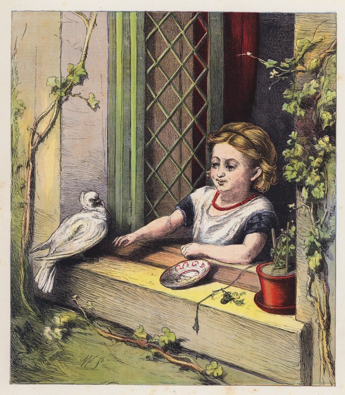 A fehér galamb (színes litográfia) alkotó: English School