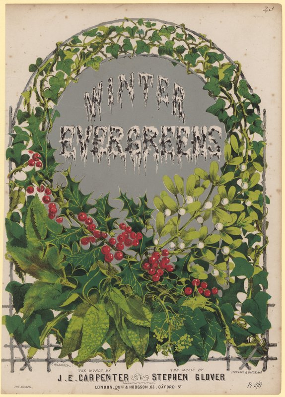 A téli örökzöldek alkotó: English School