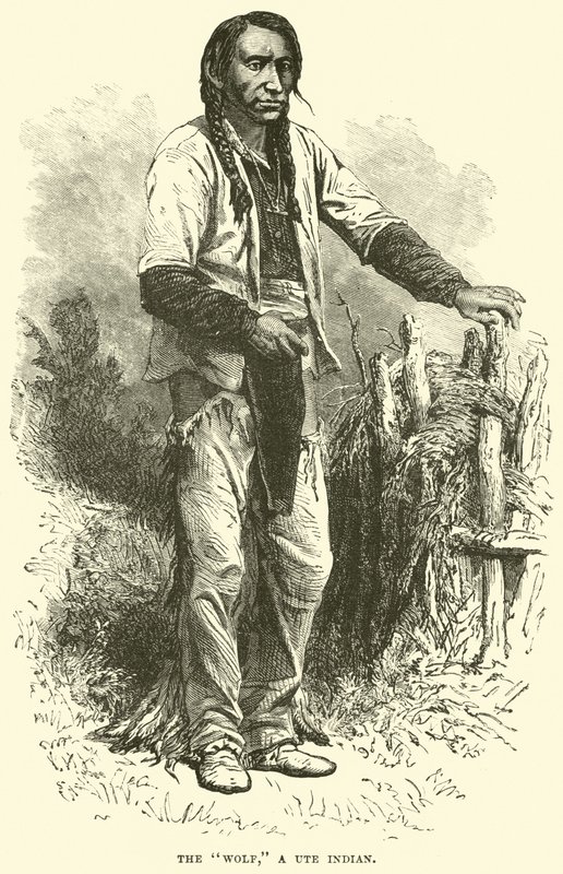 A farkas, Ute indián alkotó: English School