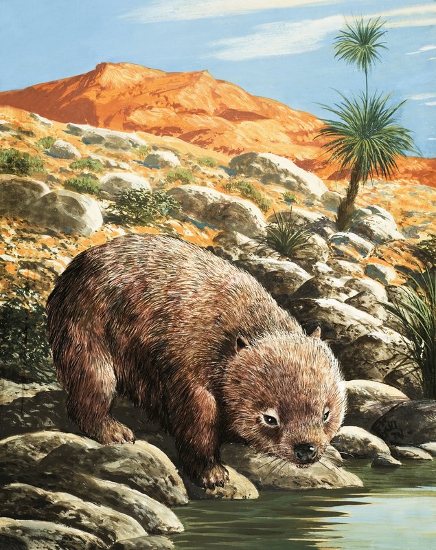 A Wombat alkotó: English School