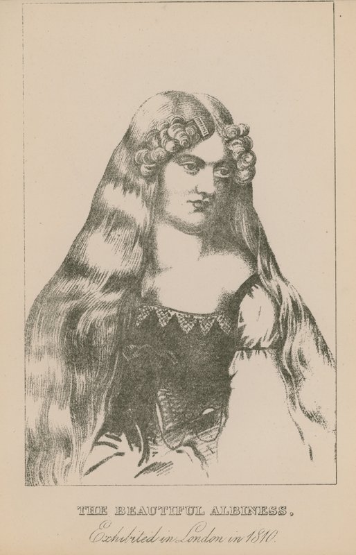 A gyönyörű albiness, 1810-ben Londonban kiállítva alkotó: English School