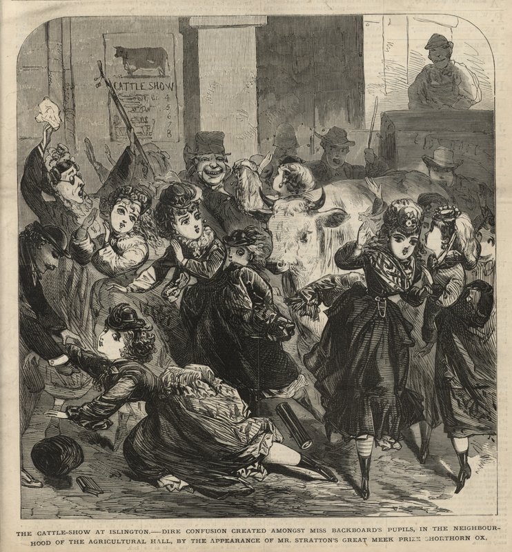 A szarvasmarha bemutató Islingtonban alkotó: English School