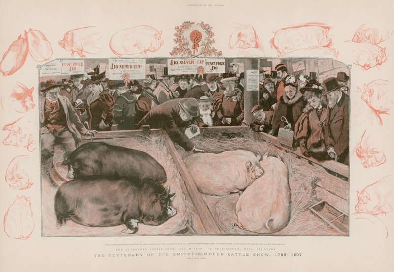 A Smithfield Club Cattle Show századik évfordulója alkotó: English School