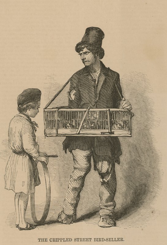 A nyomorék utcai madárárus alkotó: English School