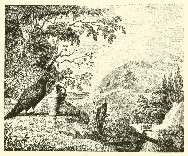 A varjú és a korsó (metszet) alkotó: English School