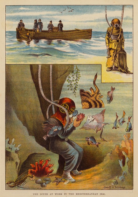 A búvár munka közben a Földközi-tengeren (színes litográfia) alkotó: English School