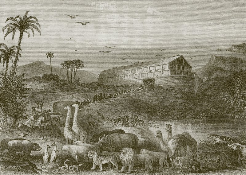 A bárkába való belépés alkotó: English School