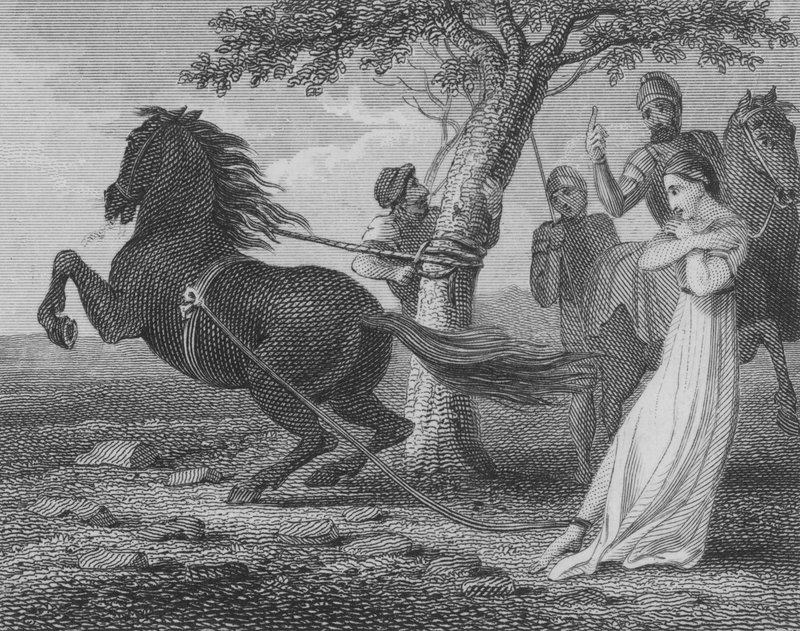 Az ausztráliai Brunhilda kivégzése II. Chlothar által, 613 alkotó: English School