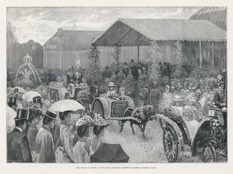 A rózsa ünnepe a Royal Botanic Society kertjében alkotó: English School